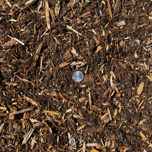 How to Protect Your Garden from the Heat Wave in Louisiana and Mississippi