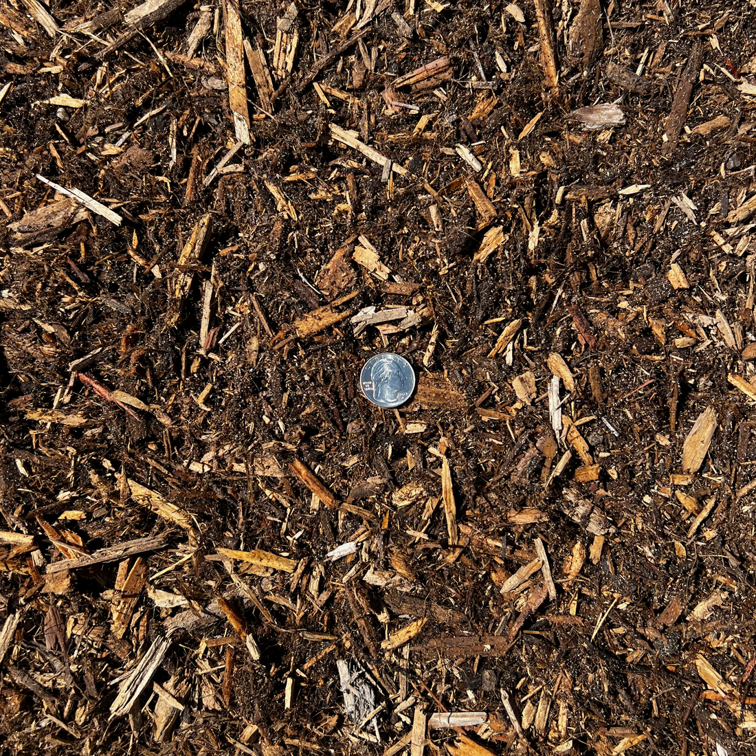 How to Protect Your Garden from the Heat Wave in Louisiana and Mississippi