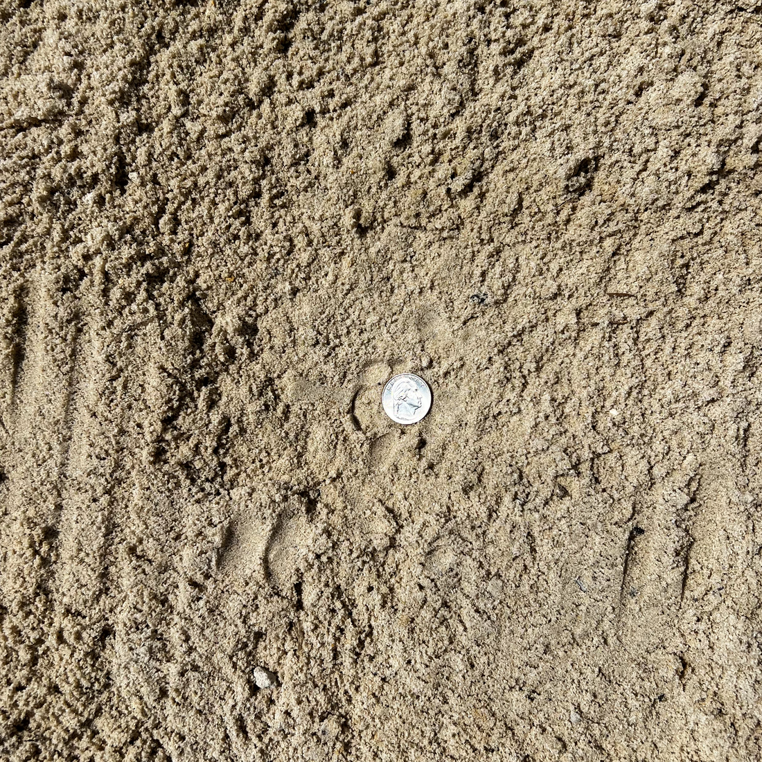 Why River Sand is a Must-Have for Your Next Project